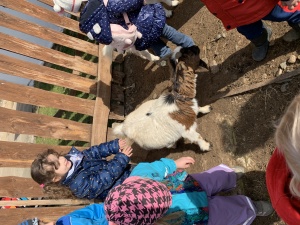 Výlet do Zooparku Zelčín