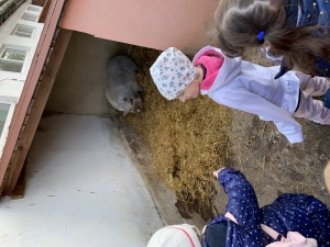 Výlet do Zooparku Zelčín