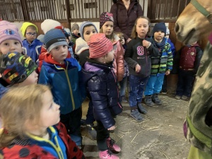 Výlet do Zooparku Zelčín