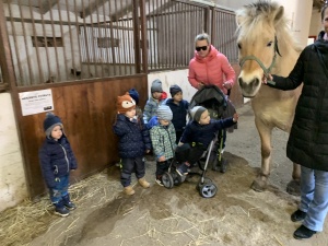 Výlet do Zooparku Zelčín