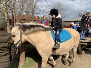 Výlet do Zooparku Zelčín