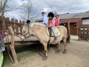 Výlet do Zooparku Zelčín