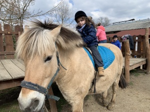 Výlet do Zooparku Zelčín