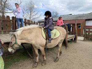 Výlet do Zooparku Zelčín