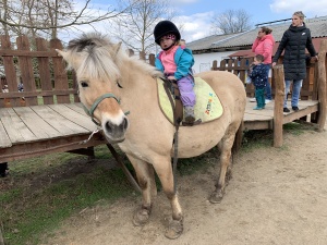 Výlet do Zooparku Zelčín