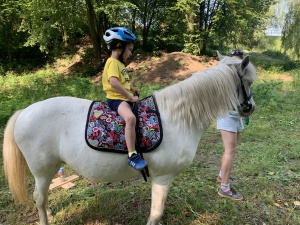 Den na koních 5.6.2019. Moc děkujeme paní Touškové a panu Touškovi za krásné dopoledne.