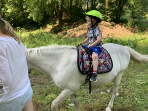 Den na koních 5.6.2019. Moc děkujeme paní Touškové a panu Touškovi za krásné dopoledne.