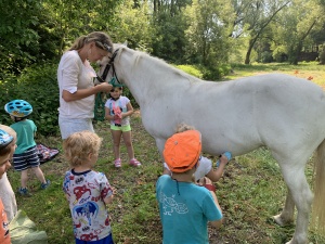 Den na koních 5.6.2019. Moc děkujeme paní Touškové a panu Touškovi za krásné dopoledne.