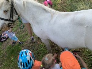 Den na koních 5.6.2019. Moc děkujeme paní Touškové a panu Touškovi za krásné dopoledne.