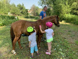 Den na koních 5.6.2019. Moc děkujeme paní Touškové a panu Touškovi za krásné dopoledne.