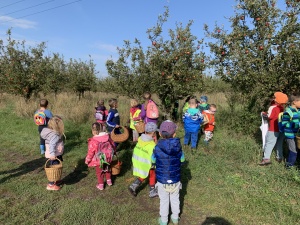 Ve Větrušicích v sadě na jablíčkách