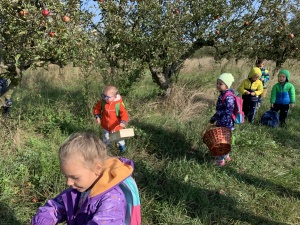 Ve Větrušicích v sadě na jablíčkách