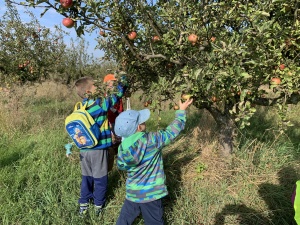 Ve Větrušicích v sadě na jablíčkách